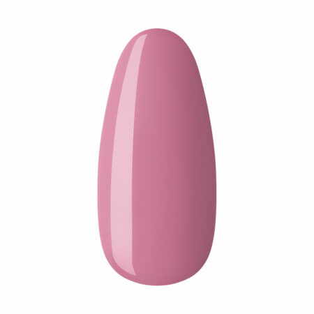 67 Malva Rosa